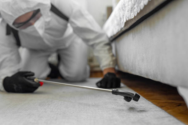 Professional Cockroach Control technician working in Pittsylvania County County, VA